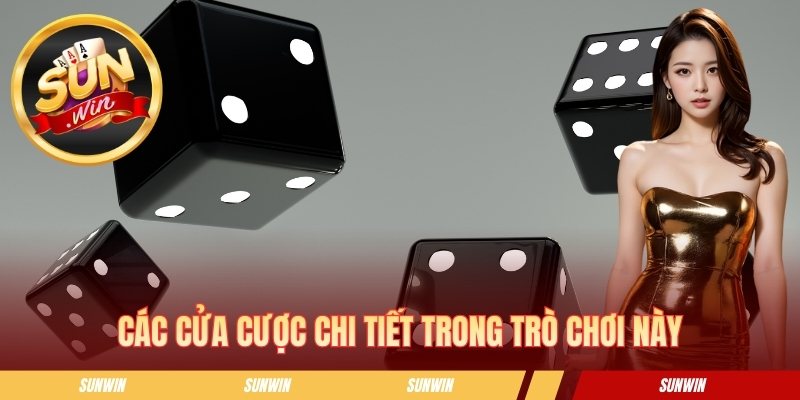 Tài Xỉu Mini SUNWIN - Mẹo Đọc Cầu Hiệu Quả Từ Cao Thủ Các cửa cược chi tiết trong trò chơi này